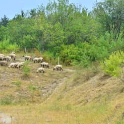 PONIDZIE - zdjęcie 48