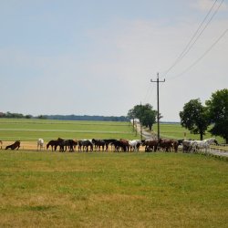 PONIDZIE - zdjęcie 53