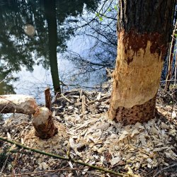 PONIDZIE - zdjęcie 55