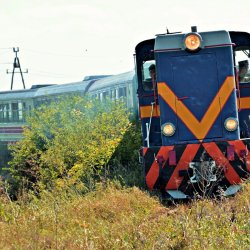 PONIDZIE - zdjęcie 56