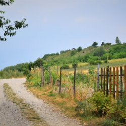 PONIDZIE - zdjęcie 59