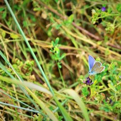 PONIDZIE - zdjęcie 69