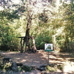 PONIDZIE - zdjęcie 73