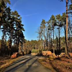 PONIDZIE - zdjęcie 74