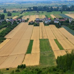 PONIDZIE - zdjęcie 79