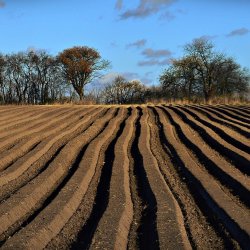 PONIDZIE - zdjęcie 82