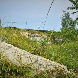 PONIDZIE - zdjęcie 83