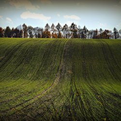 PONIDZIE - zdjęcie 85