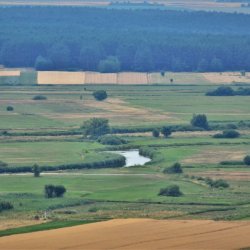 PONIDZIE - zdjęcie 86