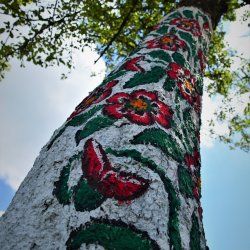 PONIDZIE - zdjęcie 93