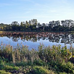 PONIDZIE - zdjęcie 99