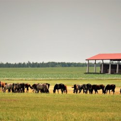 PONIDZIE - zdjęcie 107