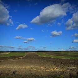 PONIDZIE - zdjęcie 110