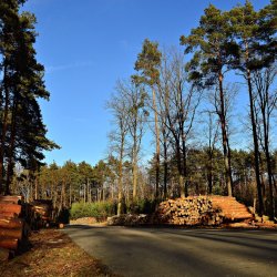 PONIDZIE - zdjęcie 118