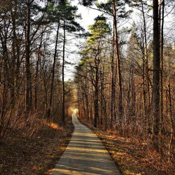 PONIDZIE - zdjęcie 123