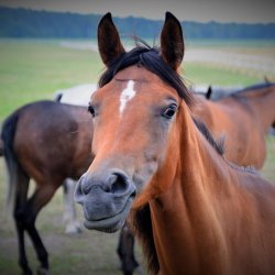 PONIDZIE - zdjęcie 130