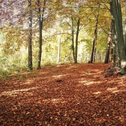 PONIDZIE - zdjęcie 133