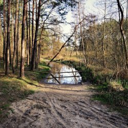 PONIDZIE - zdjęcie 134