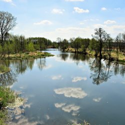 PONIDZIE - zdjęcie 136