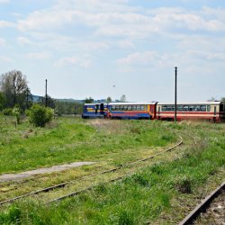 PONIDZIE - zdjęcie 138