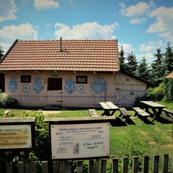 PONIDZIE - zdjęcie 139