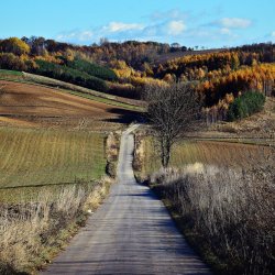 PONIDZIE - zdjęcie 145