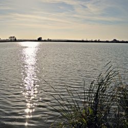 PONIDZIE - zdjęcie 146