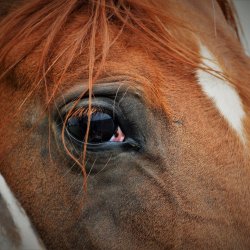 PONIDZIE - zdjęcie 147