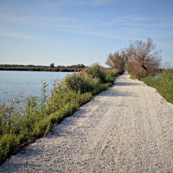 PONIDZIE - zdjęcie 148