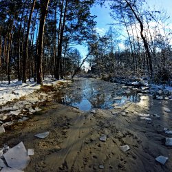 PONIDZIE - zdjęcie 152