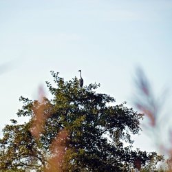 PONIDZIE - zdjęcie 153