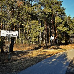 PONIDZIE - zdjęcie 154