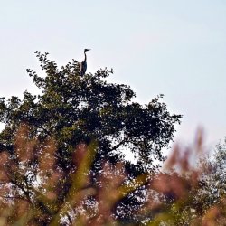 PONIDZIE - zdjęcie 156