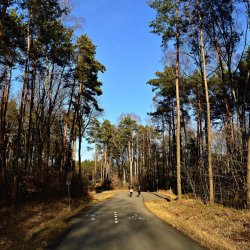 PONIDZIE - zdjęcie 164