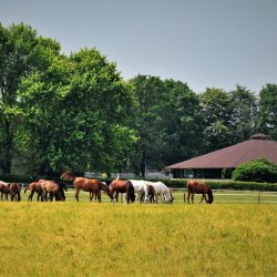 PONIDZIE - zdjęcie 167