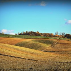 PONIDZIE - zdjęcie 170