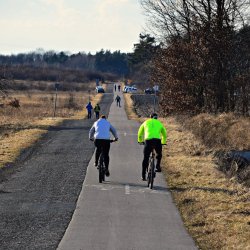 PONIDZIE - zdjęcie 173