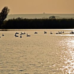 PONIDZIE - zdjęcie 174