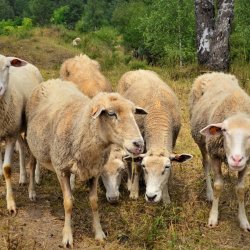 PONIDZIE - zdjęcie 175