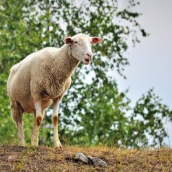 PONIDZIE - zdjęcie 176