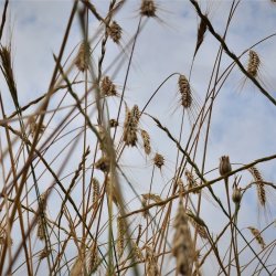 PONIDZIE - zdjęcie 180