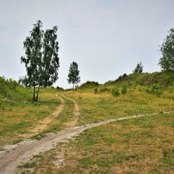 PONIDZIE - zdjęcie 182