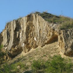 PONIDZIE - zdjęcie 183