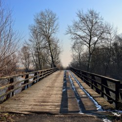 PONIDZIE - zdjęcie 185