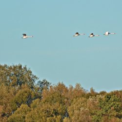 PONIDZIE - zdjęcie 186