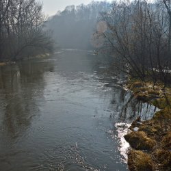 PONIDZIE - zdjęcie 187