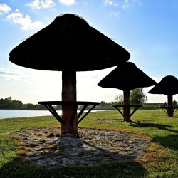 PONIDZIE - zdjęcie 195