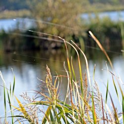 PONIDZIE - zdjęcie 196