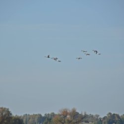 PONIDZIE - zdjęcie 197