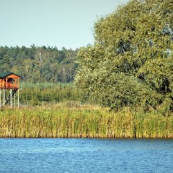 PONIDZIE - zdjęcie 198